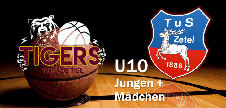 Tigers Basketball Tus Zetel U10 Icon